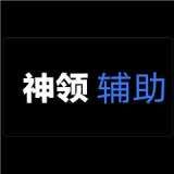 神領(lǐng)輔助