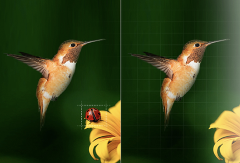 輕松去除圖片中的全部遮擋物