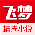 飛夢小說