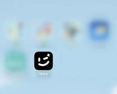 wink軟件如何清理緩存