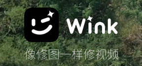 wink app怎么去水印