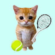貓貓網球冠軍(Cat Tennis Champion)