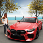 停車之王駕駛城市