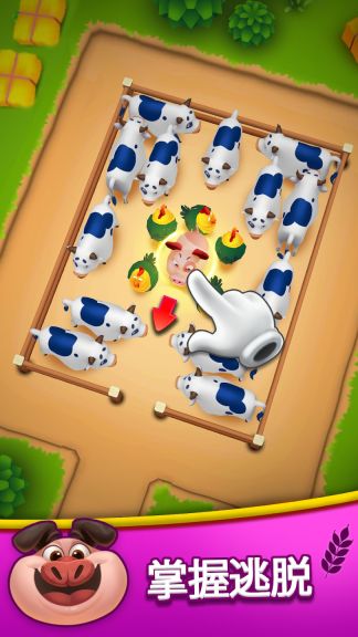 動物農場果醬停車3D(Animal Farm Jam)