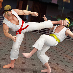 散打武術(shù)模擬