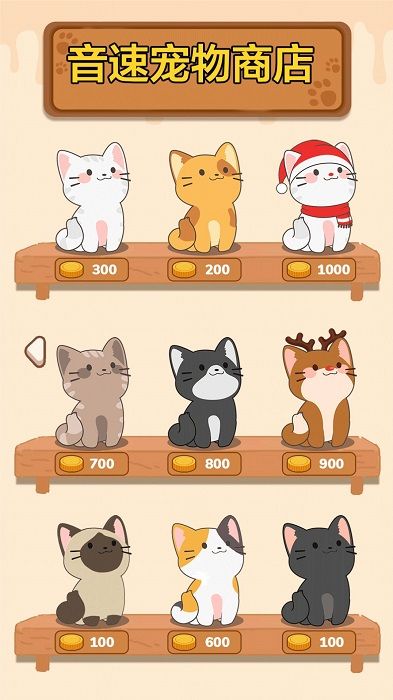 音速大挑戰(zhàn)