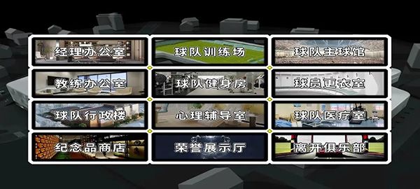 職業(yè)足球生涯