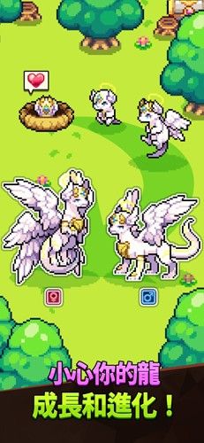 龍村Collection(Dragon Village Collection)