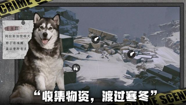 我在末日撿垃圾