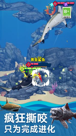 海底生存進化世界