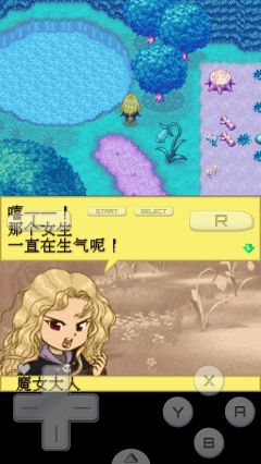 牧場物語精靈驛站游戲