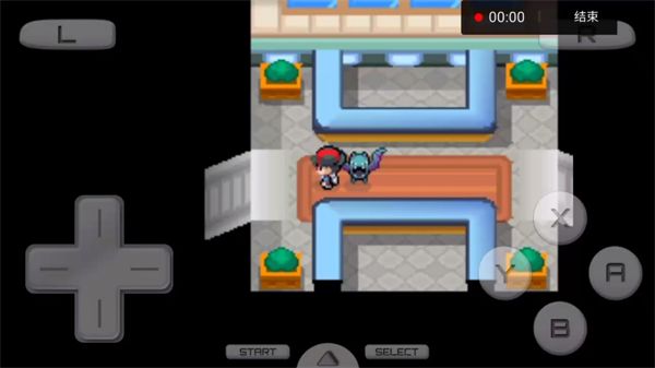 口袋妖怪啟示錄