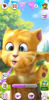 會說話的金杰貓2最新版