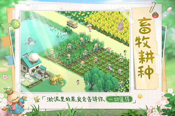 向往的生活最新版