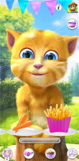 會說話的金杰貓2最新版