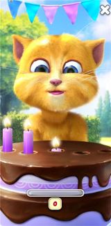 會說話的金杰貓2最新版