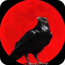 烏鴉之霜最新版