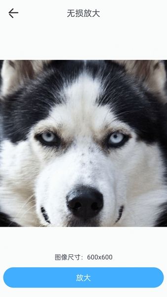 顏值特效相機(jī)