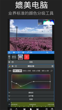 nodevideo光流補幀