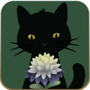 奇異園藝安卓版