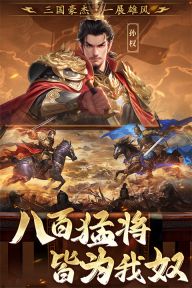 三國志戰(zhàn)棋天下